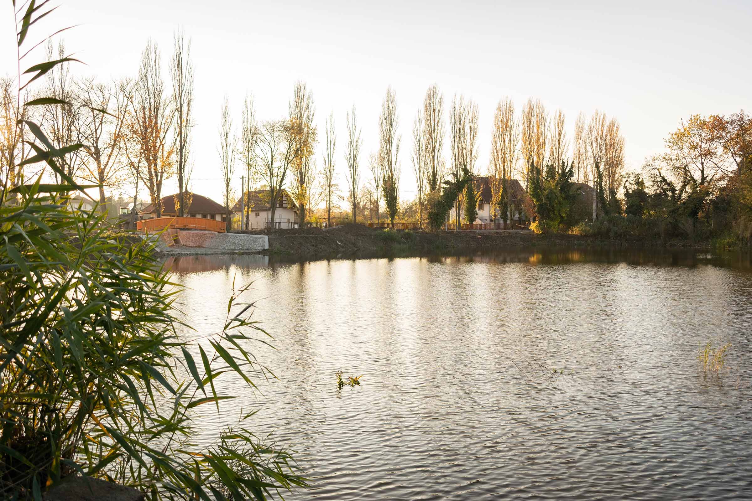 Kacsa tó, háttérben házakkal